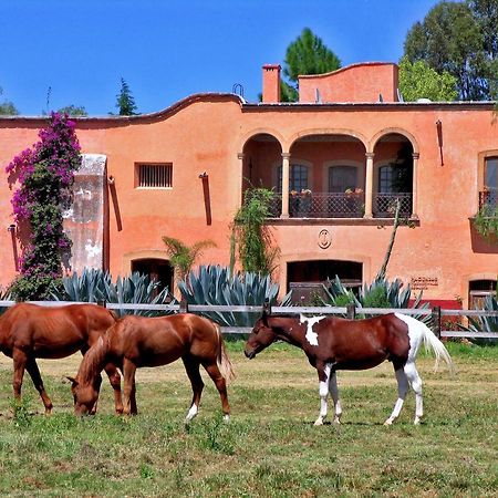 Hacienda Sepulveda Hotel & Spa (Adults Only) 拉戈斯德莫雷诺 外观 照片