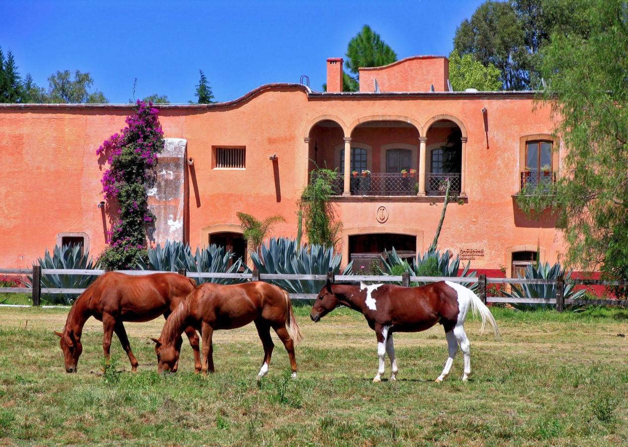 Hacienda Sepulveda Hotel & Spa (Adults Only) 拉戈斯德莫雷诺 外观 照片